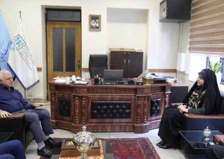 همکاری صندوق احیا با هتل‌های ایرانگردی